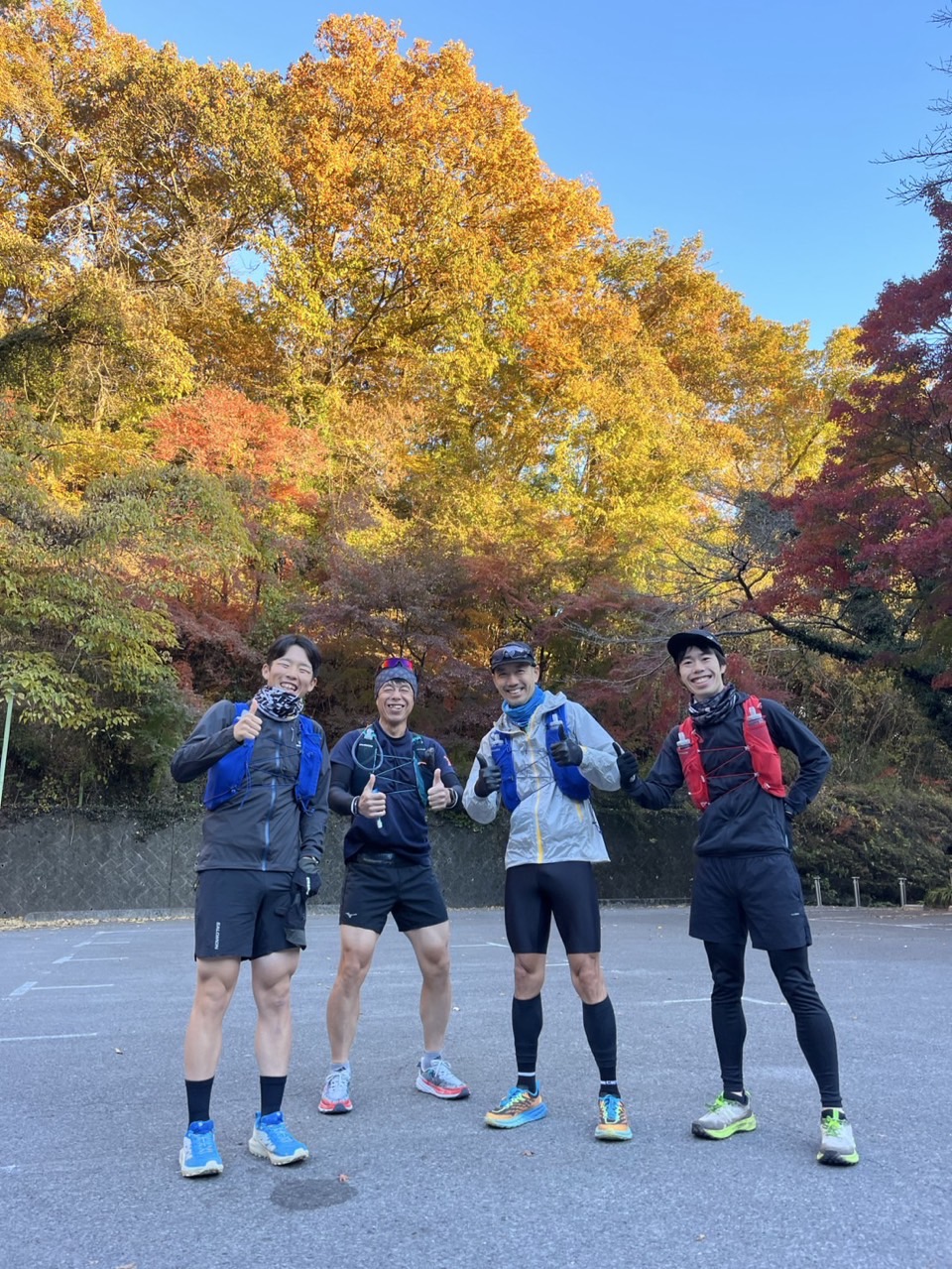 7_310Ud018svc1q8pcowud6v2s_wtkemg