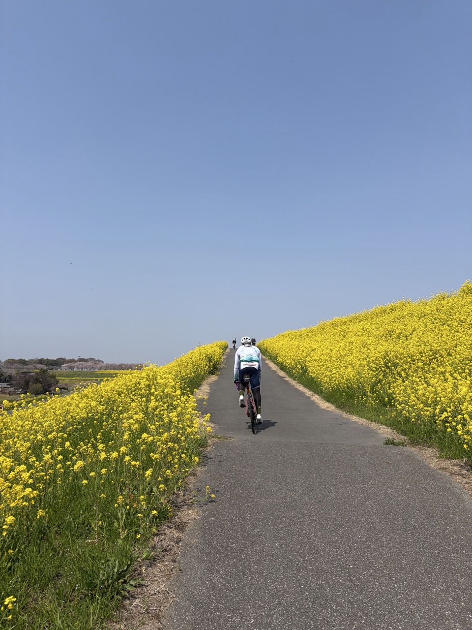 0_8dgUd018svc1q7s5o1yka961_u7v0ql