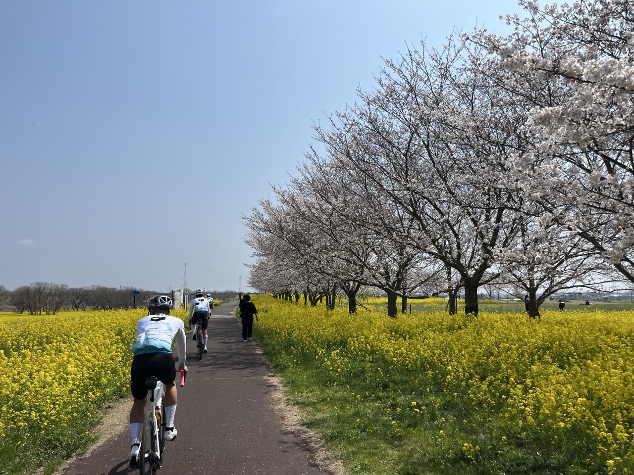 11250C32-F86A-4F28-B2AE-4967F9FF87D0