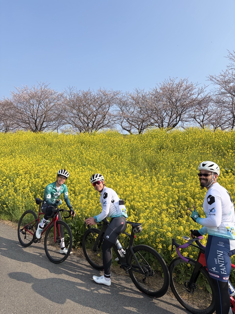 4_6dgUd018svc182d8vltqsiai_u7v0ql