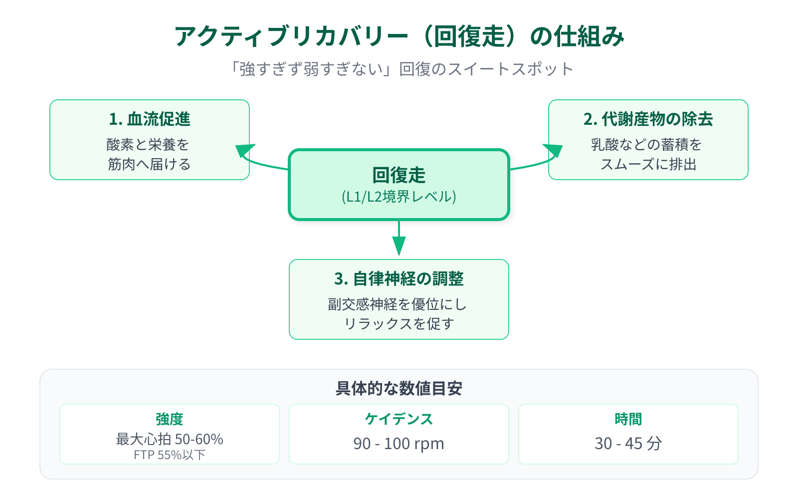 【文脈】アクティブリカバリー（回復走）の具体的な強度設定と、それが体に与えるメリットを解説する図。強すぎず弱すぎない「回復のスイートスポット」を伝える。【図解指示】マトリクスとフローの混合図。中央に「回復走（L1/L2境界）」のボックス。そこから3つのメリットへ矢印が伸びる。1：血流促進（酸素と栄養を筋肉へ届ける）、2：乳酸・代謝産物の除去、3：自律神経の調整。下部には具体的な数値目安を記載。強度：最大心拍数の50-60%、FTPの55%以下。ケイデンス：90-100rpm。時間は30-45分。色はリラックスを連想させるグリーン系で統一。