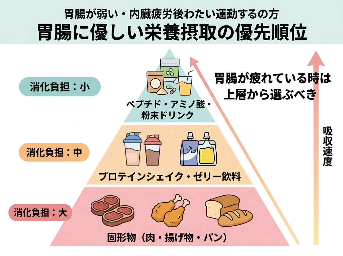 【文脈】胃腸が弱い人や激しい運動後の内臓疲労に対応した栄養摂取の優先順位を示す図。【図解指示】ピラミッド型の構造図。下から上に向かって「消化の負担が少ない順」に配置。最下層（負担大）: 固形物（肉・揚げ物・パン）。中間層（負担中）: プロテインシェイク・ゼリー飲料。最上層（負担小）: ペプチド・アミノ酸・粉末ドリンク。ピラミッドの横に「吸収速度」の矢印を上向きに配置。胃腸が疲れている時は上層から選ぶべきというメッセージを添える。