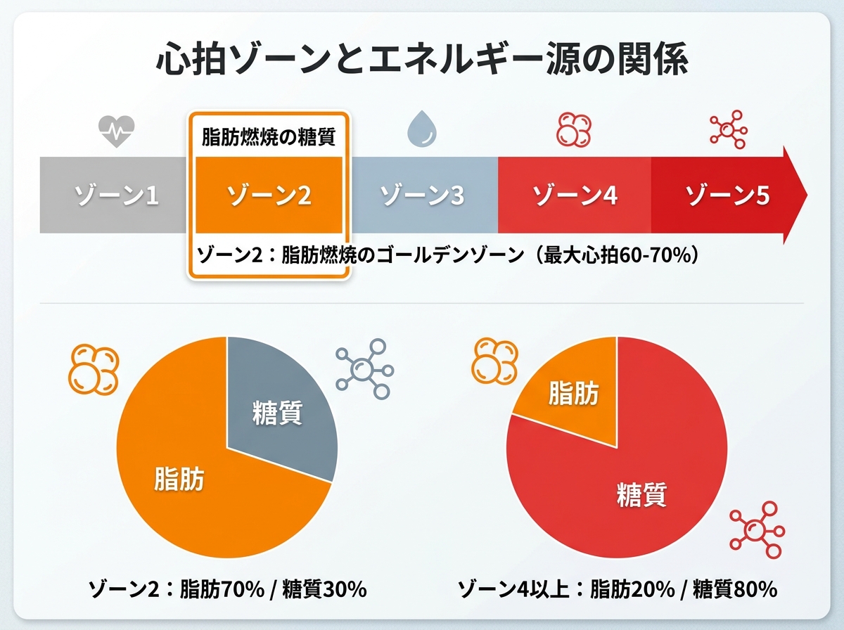 【文脈】効率的な脂肪燃焼のための「心拍ゾーン」と「エネルギー源」の関係を解説する図。どの強度がダイエットに最適かを視覚化する。【図解指示】横長のカラーバー形式のグラフ。左から右へ運動強度が上がる（ゾーン1からゾーン5）。ゾーン2（最大心拍の60-70%）のエリアを大きく囲み、「脂肪燃焼のゴールデンゾーン」と明記。バーの下に、各ゾーンで消費されるエネルギー源の比率を円グラフで添える。ゾーン2は「脂肪70%：糖質30%」、ゾーン4以上は「脂肪20%：糖質80%」といった対比構造にする。色はゾーン2を鮮やかなオレンジ、高強度を赤で表現。