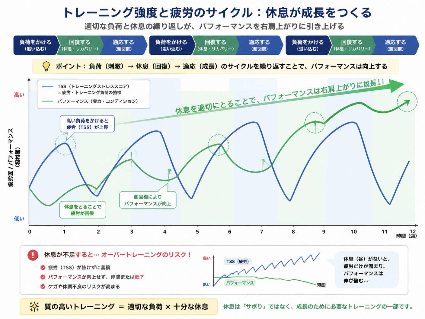 【文脈】トレーニング強度と疲労のサイクルを説明するグラフ。休息の重要性を視覚的に示す。読者はオーバートレーニングを防ぎたい。【図解指示】TSS（トレーニングストレススコア）とパフォーマンスの推移を示す折れ線グラフ。横軸は時間（週）、縦軸は疲労度とパフ