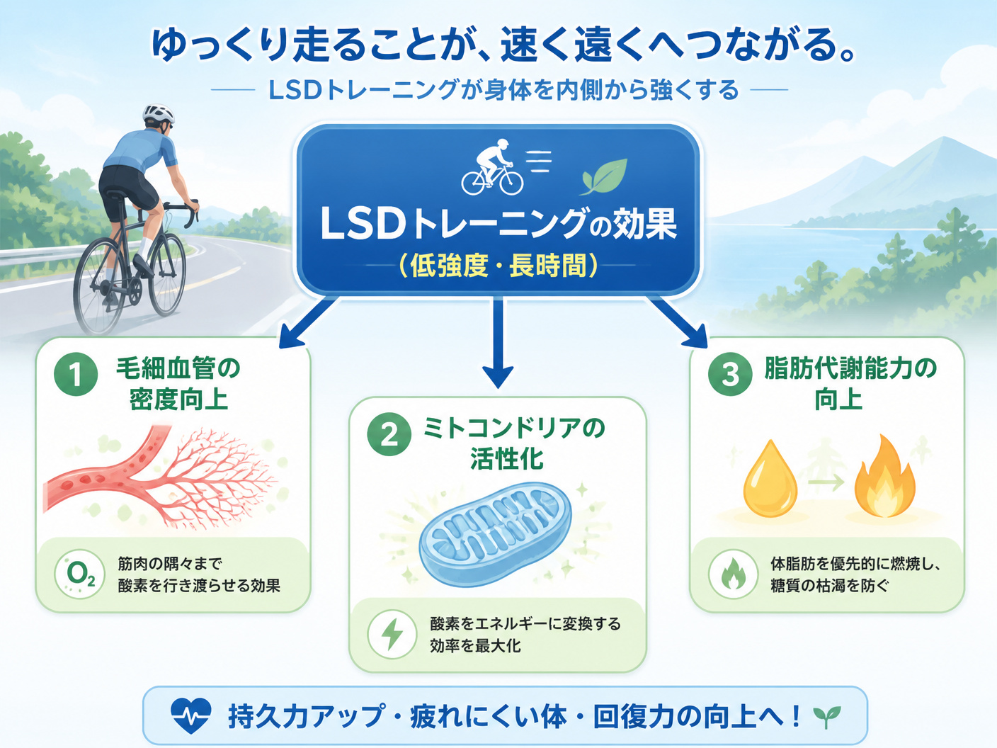 【文脈】ロードバイクのLSDトレーニングによる身体的適応のメカニズムを視覚的に整理する図。読者は初心者サイクリストで、ゆっくり走ることの効果を納得してもらうのが目的。【図解指示】LSDトレーニングによる身体へのメリットを示す構造図。中央に「LSDトレ