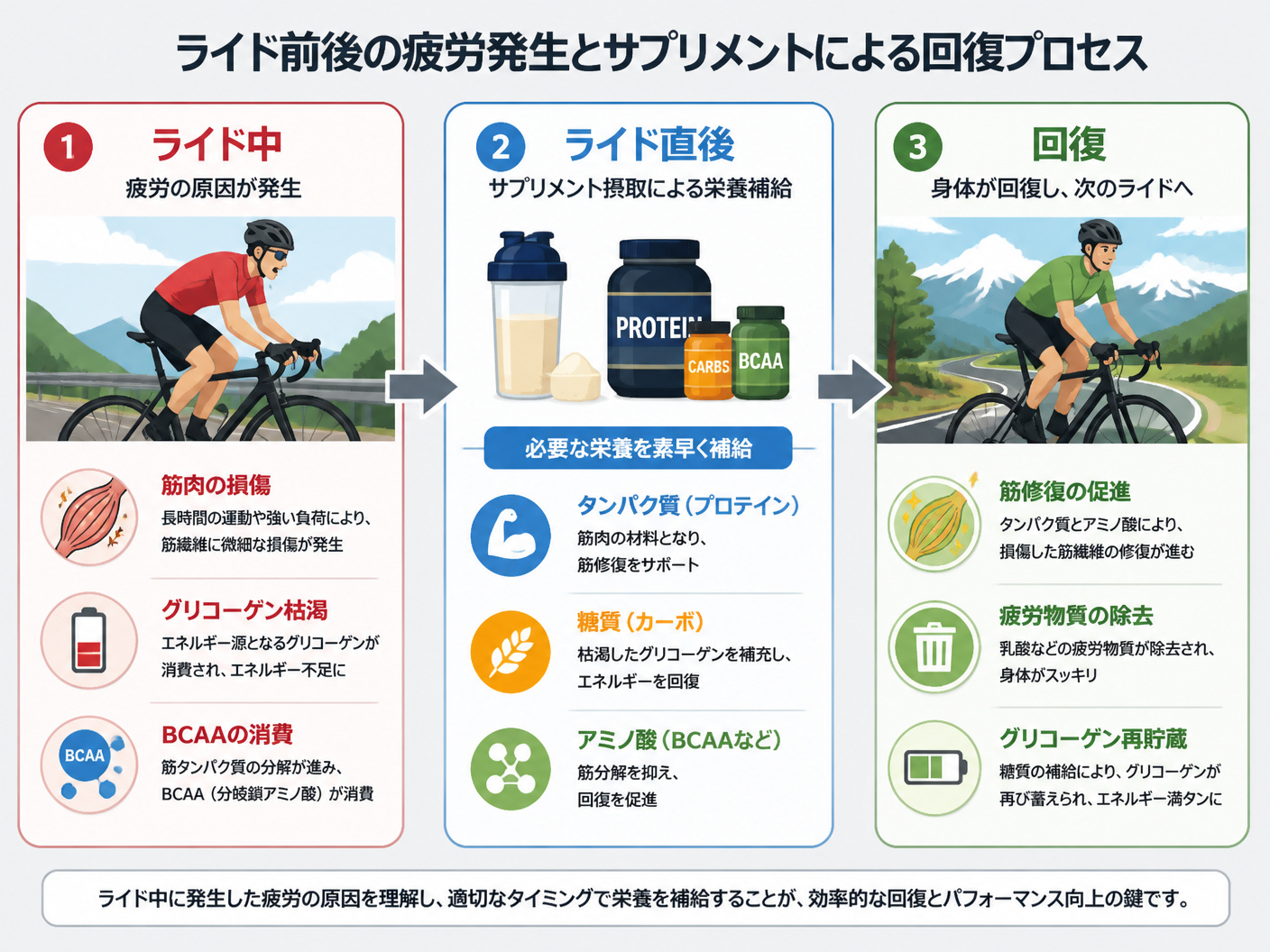 【文脈】ロードバイクのライド前後における疲労発生とサプリメントによる回復プロセスのメカニズムを解説する図解。読者は疲労の原因を理解したいサイクリスト。【図解指示】フロー図。左から右へ3段階。1段階目: ライド中(筋肉の損傷、グリコーゲン枯渇、BCAA