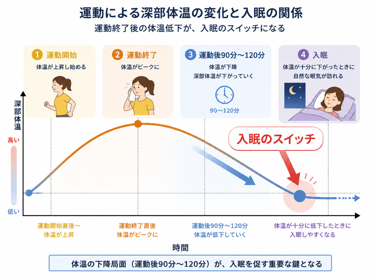 【文脈】運動による深部体温の変化と入眠の関係を説明する図解。運動終了後の体温低下が入眠スイッチになることを視覚化する。【図解指示】タイムライン図。左から右へ時間経過。縦軸に「深部体温」、横軸に「時間」。1. 運動開始（体温上昇）、2. 運動終了（ピー