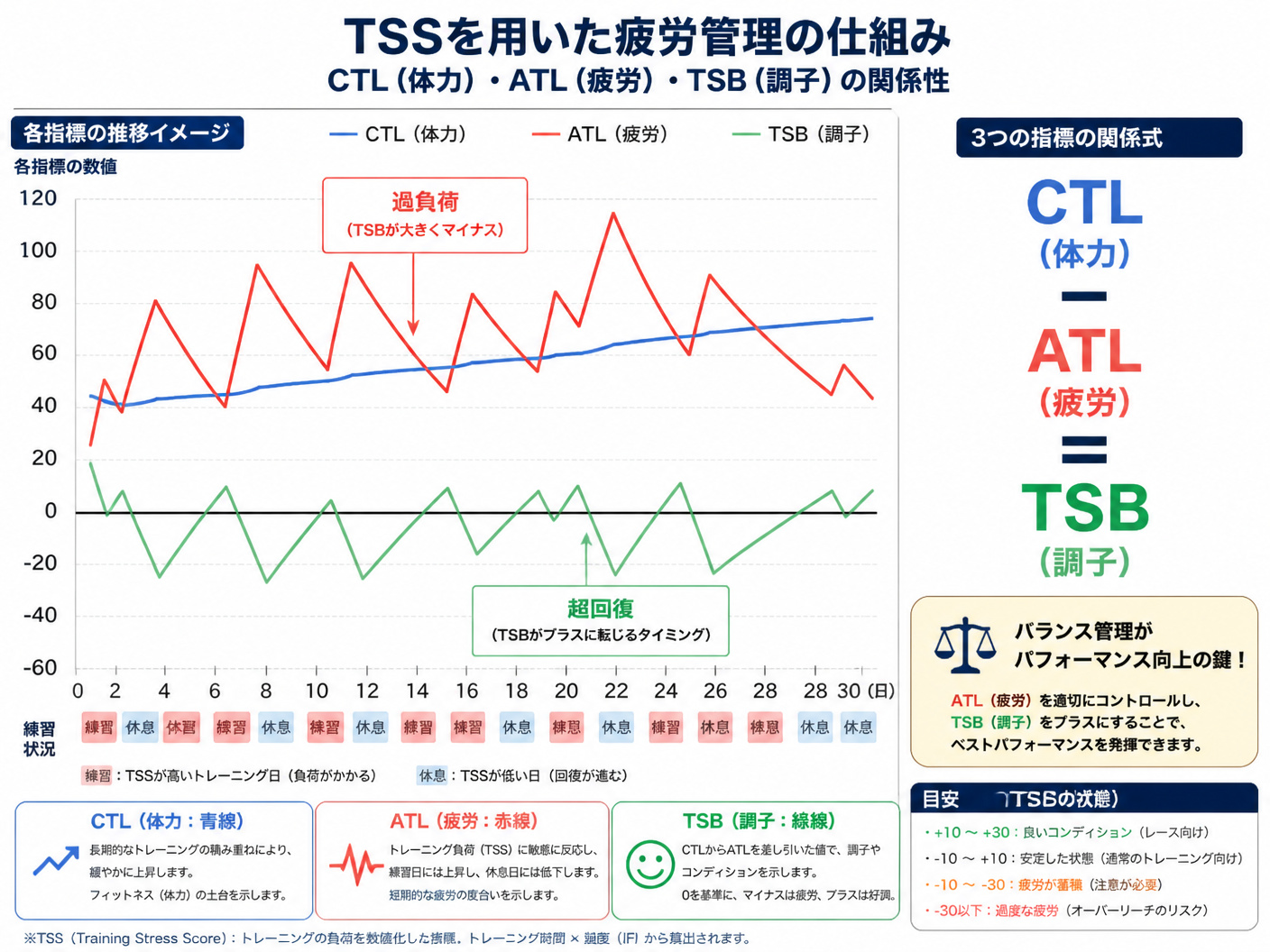 【文脈】TSS（トレーニングストレススコア）を用いた疲労管理の仕組みを説明する図。CTL（体力）、ATL（疲労）、TSB（調子）の関係性を視覚化する。【図解指示】TSS管理の概念折れ線グラフ。横軸は時間（日数）、縦軸は各指標の数値。1. CTL（青線