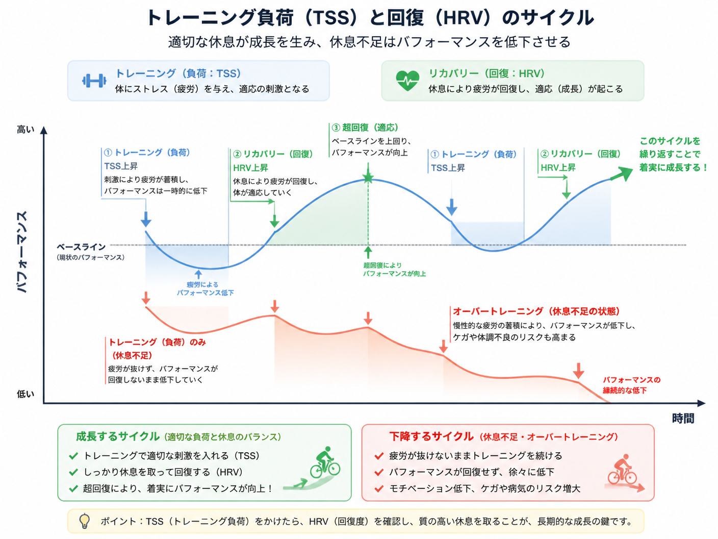 【文脈】トレーニングと疲労管理のサイクルを示す図解。読者は疲労を溜めずに成長したいサイクリストで、休息の重要性を理解するのが目的。【図解指示】トレーニング負荷(TSS)と回復(HRV)のサイクル図。縦軸にパフォーマンス、横軸に時間をとる。トレーニング