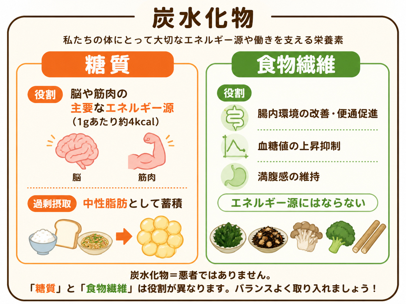 【文脈】炭水化物の構成成分である糖質と食物繊維の違い、およびそれぞれの体内での役割を視覚的に整理する図。読者が炭水化物を十把一絡げに制限するのを防ぐ目的。【図解指示】炭水化物の構成を示す構造図。全体を「炭水化物」の大きな外枠で囲み、内部を「糖質」と「
