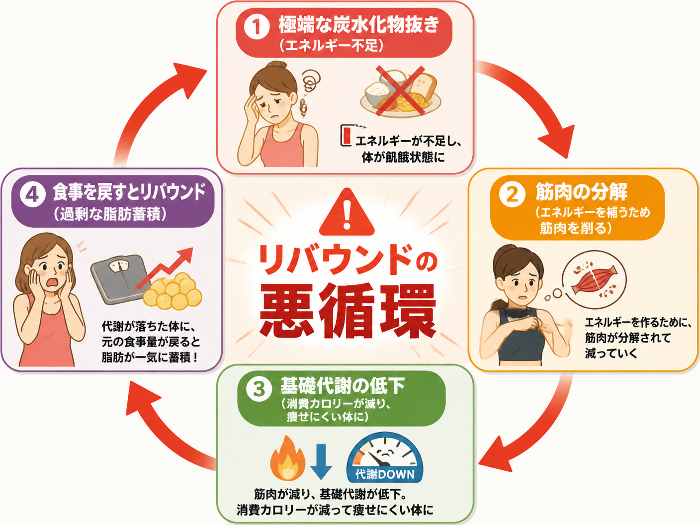 【文脈】極端な糖質制限が引き起こす筋肉減少と基礎代謝低下、そして最終的なリバウンドに至る悪循環を視覚的に説明する図。読者に極端な制限の危険性を理解させる目的。【図解指示】循環するサイクル図（ループ図）。4つのフェーズが時計回りの矢印で繋がっている。フ