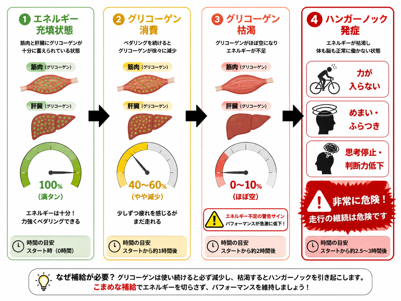 【文脈】ロードバイク走行中に体内で起こるエネルギー枯渇のメカニズムとハンガーノックに至るまでの段階を視覚化する図。読者は初心者で、なぜ補給が必要かを直感的に理解したい。【図解指示】4段階のプロセスフロー図。左から右へ矢印でつなぐ。1段目「エネルギー充填状態」(筋肉と肝臓にグリコーゲンが十分に蓄えられている状態、緑色のゲージで満タン表示)、2段目「グリコーゲン消費」(ペダリングを続けるとグリコーゲンが徐々に減少、ゲージが半分以下に、黄色に変化)、3段目「グリコーゲン枯渇」(ゲージがほぼ空、赤色に変化、ここで警告サインが出現)、4段目「ハンガーノック発症」(力が入らない、めまい、思考停止のアイコン、危険を示す赤い枠で囲む)。各段階の下部に具体的な時間の目安(例:スタートから1時間後、2時間後など)を小さなテキストで表示。全体の背景は白、各ボックスは角丸、矢印は太めの黒色。