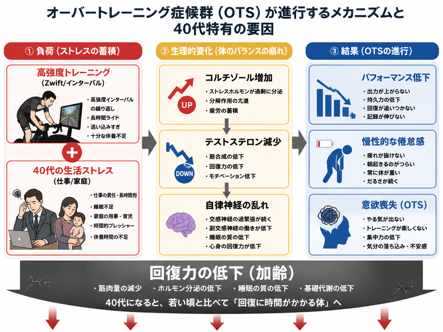 【文脈】オーバートレーニング症候群（OTS）が進行するメカニズムと、40代特有の要因を視覚化したフロー図。読者が自分の現在の立ち位置を把握するために使用する。【図解指示】左から右への3段階フロー図。1段目（負荷）: 高強度トレーニング（Zwift/インターバル）+ 40代の生活ストレス（仕事/家庭）。2段目（生理的変化）: コルチゾール増加・テストステロン減少・自律神経の乱れ。3段目（結果）: パフォーマンス低下・慢性的な倦怠感・意欲喪失（OTS）。各ボックスは色分けし、1段目は赤、2段目は黄、3段目は青。下部に「回復力の低下（加齢）」という大きな矢印を配置し、全体を押し下げるイメージを表現。テキストは日本語。