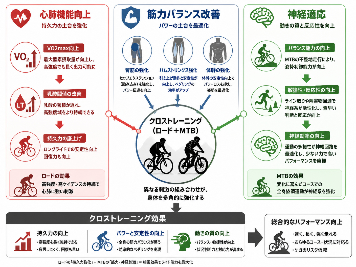 【文脈】ロードバイクとMTBのクロストレーニングが心肺機能、筋力バランス、神経適応の3軸で効果を発揮することを示す図。読者は中級〜上級サイクリストで、パフォーマンス向上のメカニズムを視覚的に理解したい。【図解指示】3つの列を持つ比較図。左列: 心肺機能向上(VO2max向上、乳酸閾値改善)、中央列: 筋力バランス改善(臀筋・ハムストリングス・体幹の強化)、右列: 神経適応(バランス・敏捷性向上)。各列はアイコンとテキストで表現し、下部に「クロストレーニング効果」とまとめる。色分け: 心肺系は赤、筋力系は青、神経系は緑。レイアウト: 横並び3列、各列に矢印でつながる中央の円(クロストレーニング)から放射状に伸びる。