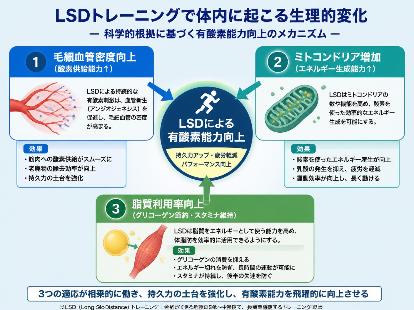 【文脈】LSDトレーニングによって体内で起こる生理的変化と有酸素能力向上への影響を説明する図解。読者にLSDの科学的根拠を明確に伝える。【図解指示】LSDによる身体的適応の3大要素を示した構造図。中央に「LSDによる有酸素能力向上」を配置。周りに3つ