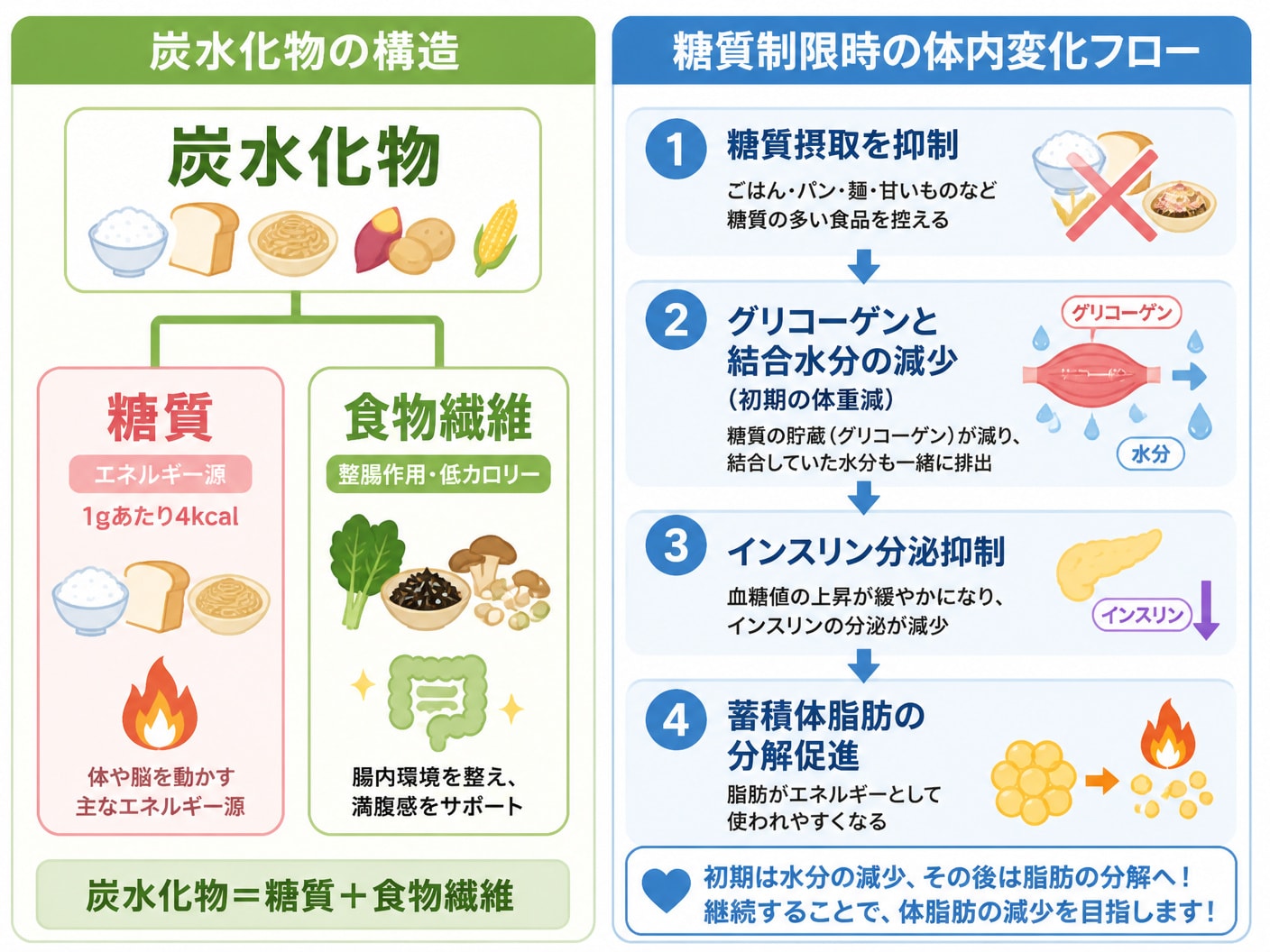 炭水化物の構成要素と糖質制限における体内変化のフロー図